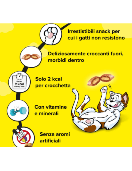 Catisfaction  Shake up Delizie Cortile gr.55.Snack Per Gatti