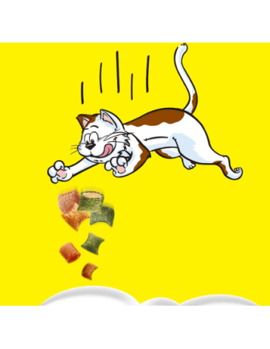 Catisfaction  Shake up Delizie Cortile gr.55.Snack Per Gatti