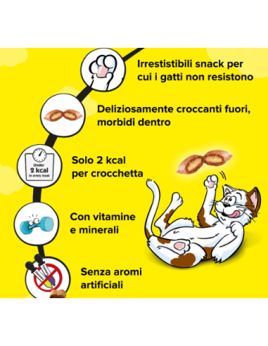 Catisfaction  Shake up Frutti di Mare gr.55 . Snack per gatti