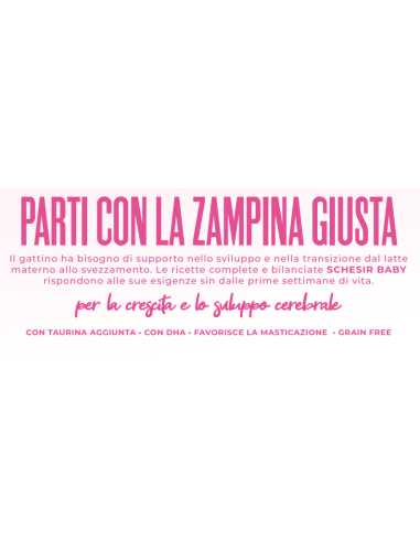 Schesir Baby Multipack Mousse and Filet Pollo /Salmone Mousse+Filetti in Brodo. Cibo per cuccioli di gatto