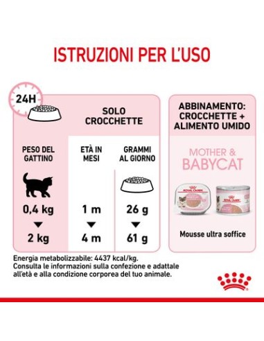Mother And Baby Cat kg 4. Cuccioli di gatto