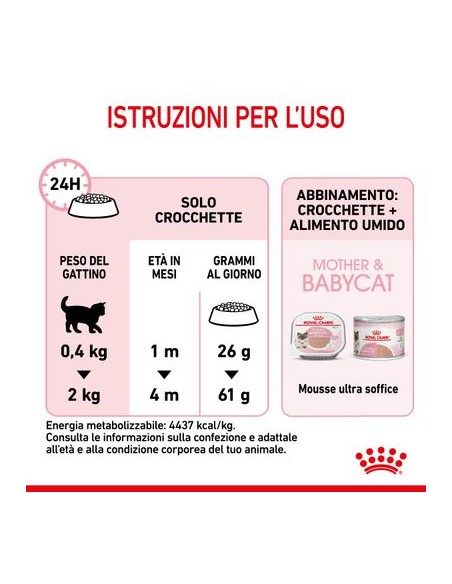 Mother And Baby Cat kg 4. Cuccioli di gatto
