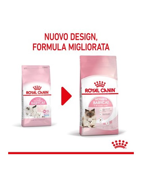 Mother And Baby Cat kg 4. Cuccioli di gatto