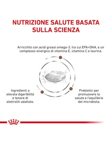 Gastrointestinal Small Dog Low fat  Kg.1,5 Royal Canin- Diete - Cibo Secco Per Cani