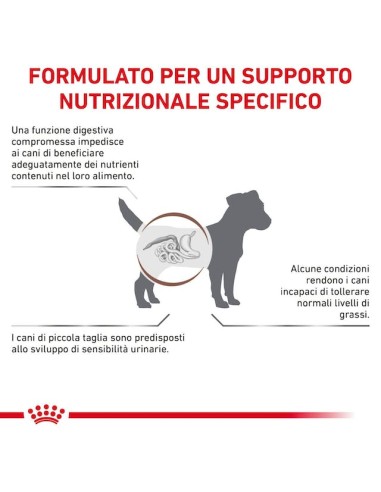 Gastrointestinal Small Dog Low fat  Kg.1,5 Royal Canin- Diete - Cibo Secco Per Cani