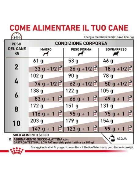 Gastrointestinal Small Dog Low fat  Kg.3,5 Royal Canin- Diete - Cibo Secco Per Cani.
