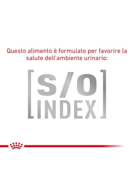 Gastrointestinal Small Dog Low fat  Kg.3,5 Royal Canin- Diete - Cibo Secco Per Cani.
