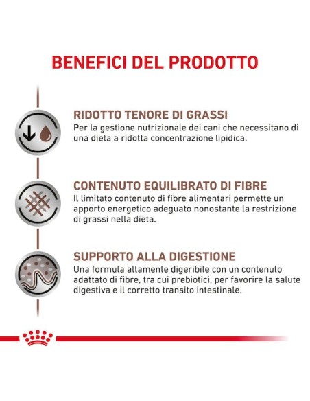 Gastrointestinal Small Dog Low fat  Kg.3,5 Royal Canin- Diete - Cibo Secco Per Cani.