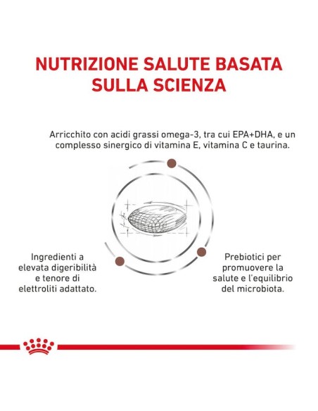 Gastrointestinal Small Dog Low fat  Kg.3,5 Royal Canin- Diete - Cibo Secco Per Cani.