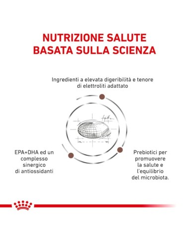 Gastrointestinal Low Fat Canine kg 1,5- Diete - Cibo Secco Per Cani