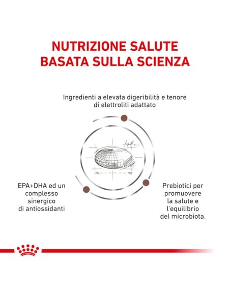 Gastrointestinal Low Fat Canine kg 1,5- Diete - Cibo Secco Per Cani