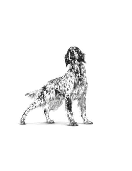 Gastrointestinal Low Fat Canine kg 1,5- Diete - Cibo Secco Per Cani