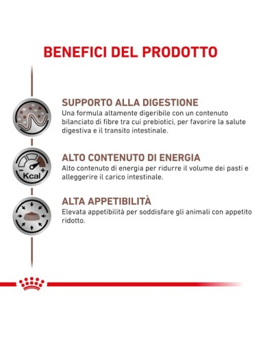 Gastrointestinal Dog Gr 200. Diete - cibo umido per cani
