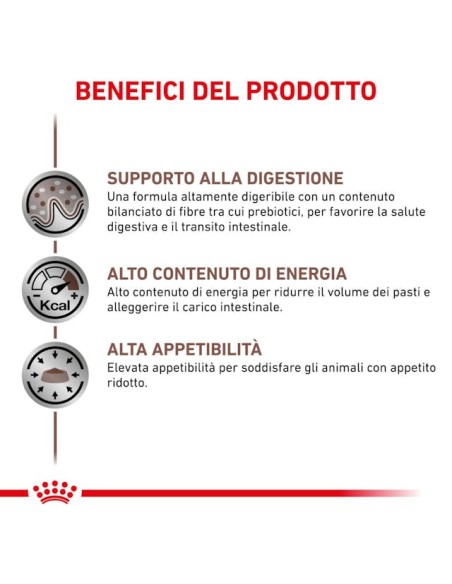 Gastrointestinal Dog Gr 200. Diete - cibo umido per cani
