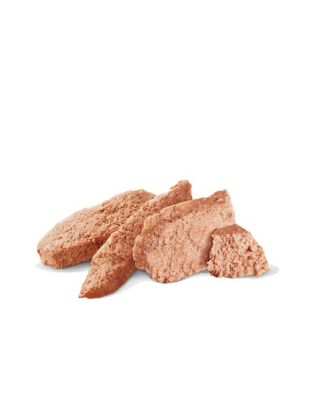 Gastrointestinal Dog High Fibre Gr.410. Diete - Cibo Umido Per Cani