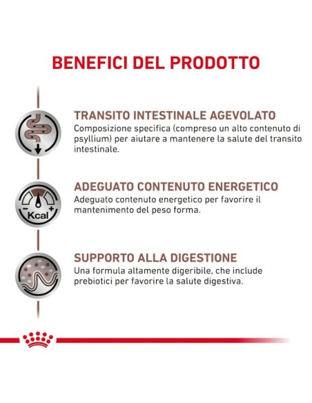 Gastrointestinal Fibre Response Gr.85. Diete - Cibo Umido Per Gatti