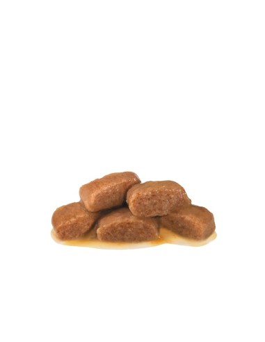 Gastrointestinal Fibre Response Gr.85. Diete - Cibo Umido Per Gatti