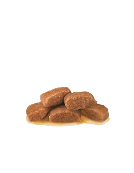 Gastrointestinal Fibre Response Gr.85. Diete - Cibo Umido Per Gatti