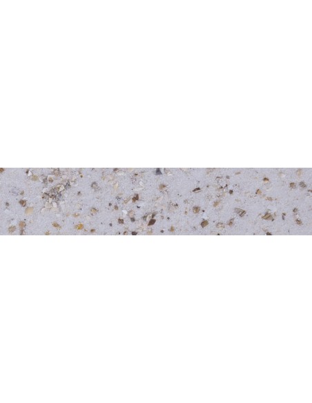 Sabbia Oceanica kg 5. Lettiere Per Uccelli