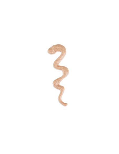 Schesir Stix Pollo 6pz x gr.15. Snack per gatti
