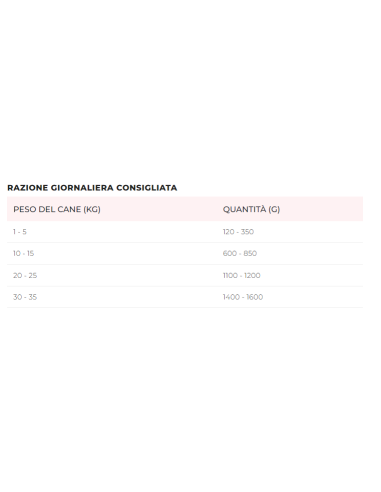 Disugual Manzo Umido Cane gr 400. Cibo Umido Per Cani