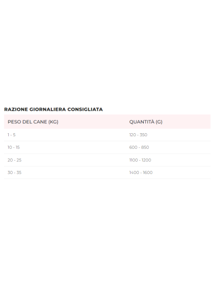 Disugual Umido Cane Salmone gr 400. Cibo Umido Per Cani