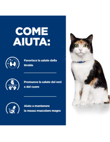 Hill's Feline Y/d gr 150. Diete . Cibo Umido Per Gatti