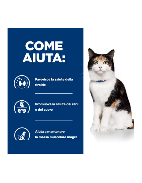 Hill's Feline Y/d gr 150. Diete . Cibo Umido Per Gatti