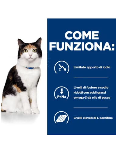 Hill's Feline Y/d gr 150. Diete . Cibo Umido Per Gatti