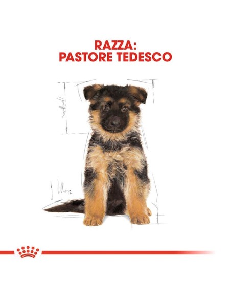 German Sheperd puppy kg 12. Cibo Secco Per Cuccioli