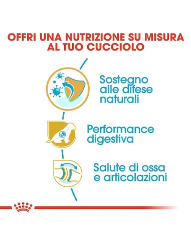 German Sheperd puppy kg 12. Cibo Secco Per Cuccioli