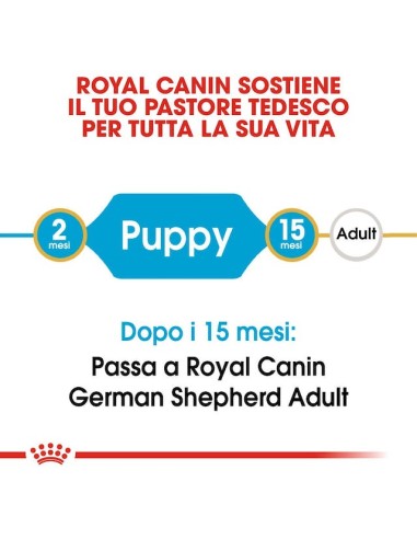 German Sheperd puppy kg 12. Cibo Secco Per Cuccioli