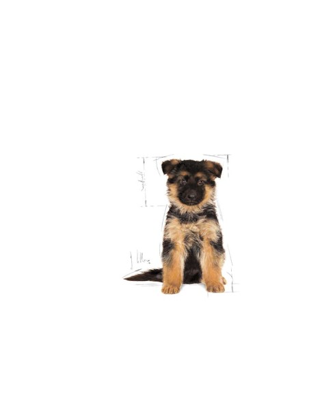 German Sheperd puppy kg 12. Cibo Secco Per Cuccioli