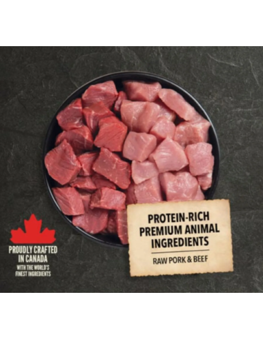 Acana Dog red Meat kg 9,7 Mangime Secco Per Cani