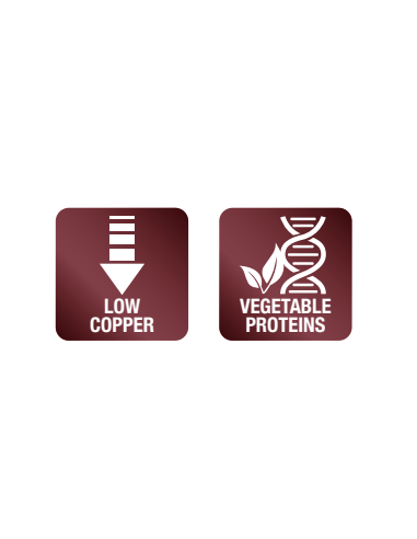 Monge Vet Solution hepatic kd 12. Diete - Cibo Secco Per Cani