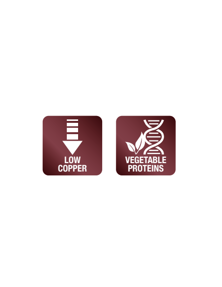 Monge Vet Solution hepatic kd 12. Diete - Cibo Secco Per Cani