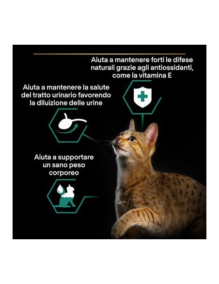 Pro Plan Gatto Busta Sterilised adult Manzo gr 75 . Cibo Umido Per Gatti