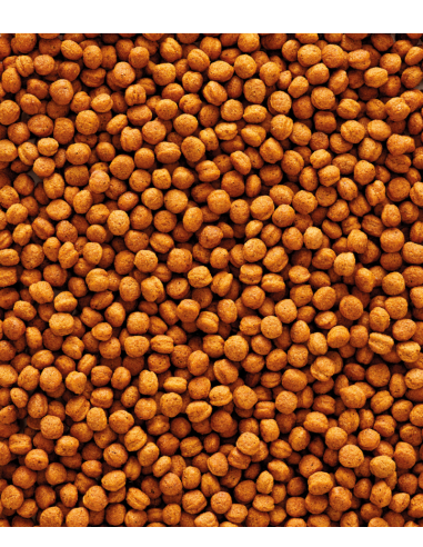 Nutribird T16 gr.700 Mangime Per Uccelli