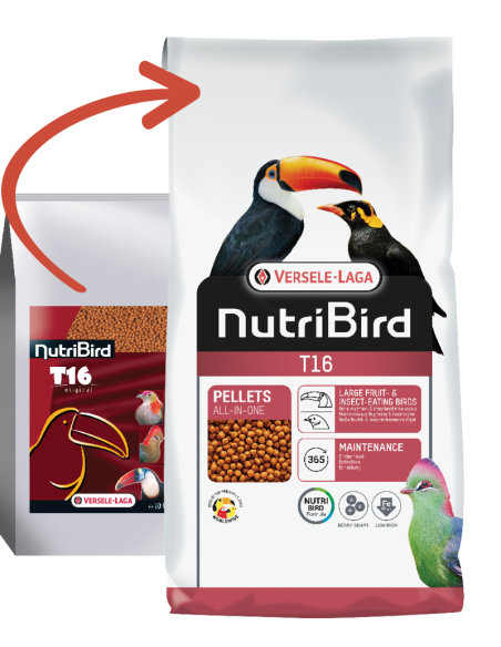 Nutribird T16 gr.700 Mangime Per Uccelli