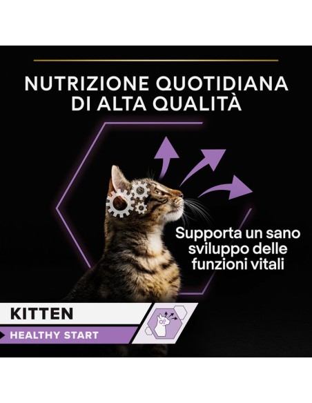 Pro Plan Gatto Busta Kitten Healthy Star con Tacchino  . gr 75. Cuccioli Di gatto