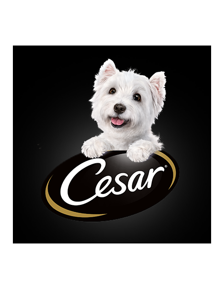 Cesar Natura Gooodness Terrine con Tacchino Piselli Spinaci e Peperone Gr.100. Cibo Umido Per Cani