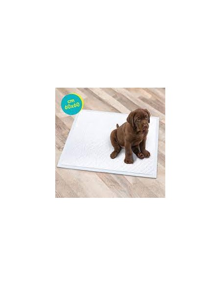 Tappetini Assorbenti Tapiss 60x60 CM 100 Pezzi. Igienici Per Cani