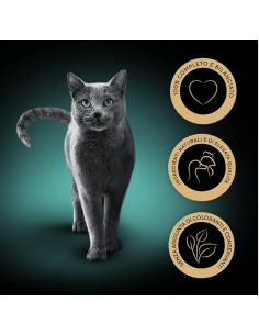 Sheba Selezione In salsa con Pollo Gr 85. Cibo Umido Per Gatti 2