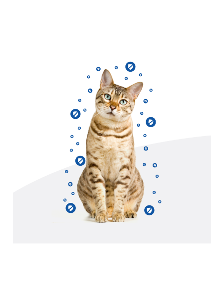 HILL'S Feline Z/D Kg.3. Secco Diete Per Gatti