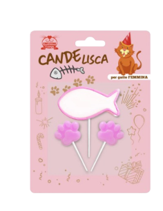 Candelisca Gatto Femmina. Giochi Per Gatti