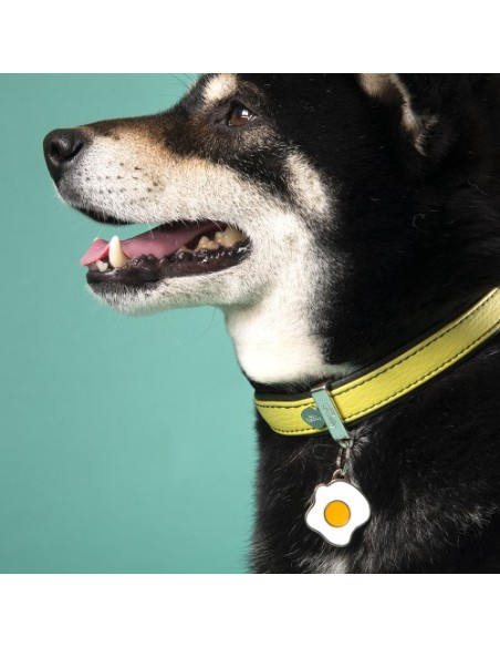 Medaglietta Food Uovo .Accessori per cani