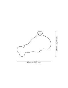 Medaglietta Food Chicken. Accessori per cani . 2