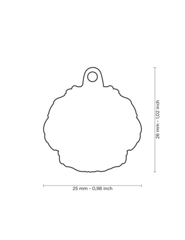 Medaglietta Cane Bolognese. Accessori per cani.