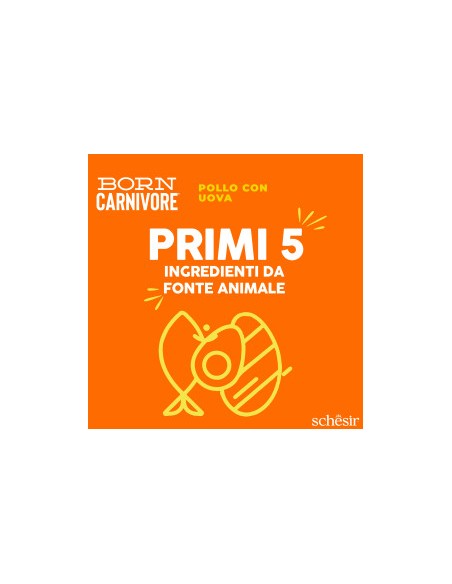 SCHESIR Born Carnivore Pollo & Uovo Gr.255-Cibo secco per gatti .
