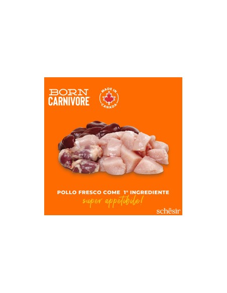 SCHESIR Born Carnivore Pollo & Uovo Gr.255-Cibo secco per gatti .